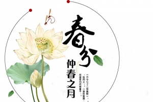 春分中国风水墨海报