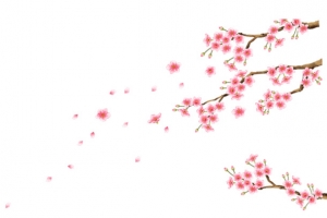 粉色手绘桃花装饰图案