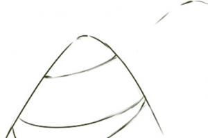 手绘粽子高清PNG透明图片-端午节节日元素设计素材免费下载