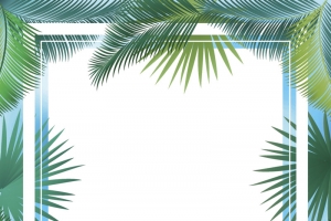 绿色清新热带树叶装饰边框高清PNG透明素材免费下载
