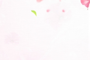 简约粉色花瓣养生壶PSD分层主图背景素材