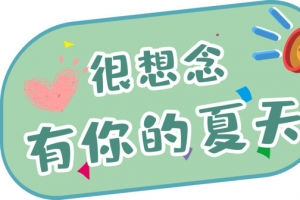 很想念有你的夏天