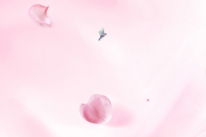 美妆梦幻粉色海报背景banner