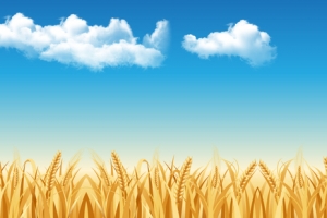 秋风文艺丰收景色蓝色banner