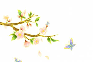 春天桃花盛开