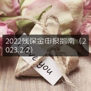 2023年2月最新2022残保金申报指南