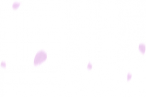 七夕情人节紫色飘落花瓣PNG透明素材免费下载