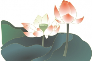 中国风水墨荷花
