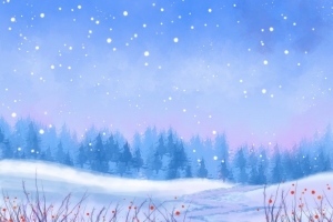 冬天大雪森林雪景