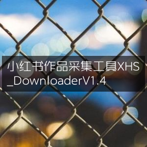 小红书视频下载神器 XHS_Downloader V1.4