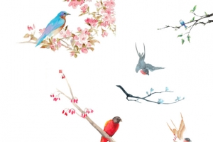 中国风花鸟素材
