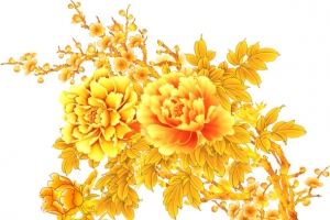 黄色牡丹花开艺术花朵