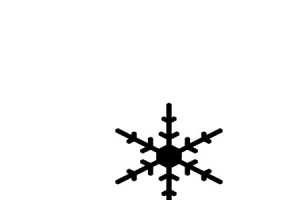 雪花形态展示1