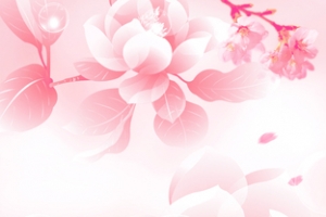 粉红色花朵花瓣背景