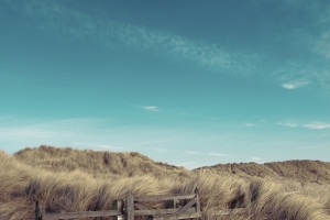 蓝天白云枯草沙漠