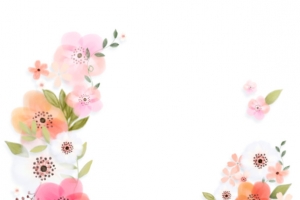 清新 文艺 花朵 背景