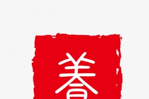红色水墨风不规则养生字样印章矢