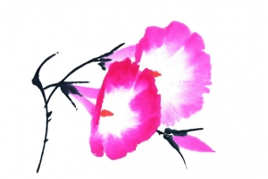 粉色的花朵素材图片