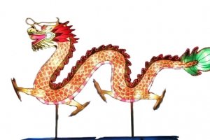 龙灯图片