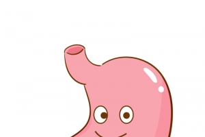 手绘人体器官胃高清PNG透明免扣插画设计素材免费下载