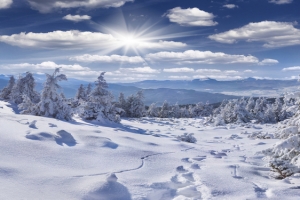 冬季唯美雪景