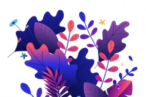 扁平植物插画炫彩