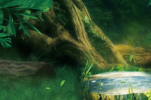 清新绿色森林banner