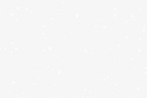 雪 雪花 圣诞节