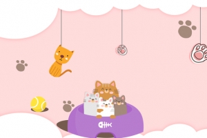 宠物卡通手绘海报banner