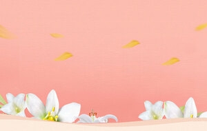淘宝女装背景海报