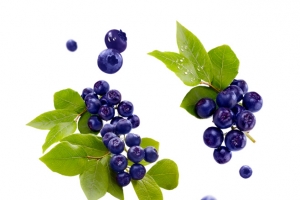 蓝莓水果漂浮物