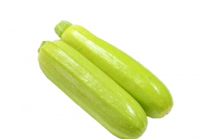 蒲瓜