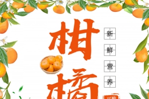 橙色柑橘海报