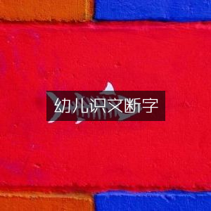 幼儿文字启蒙教育