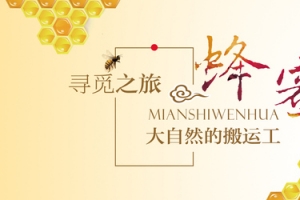 蜂蜜食品banner背景