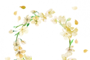 黄色简约花圈边框纹理