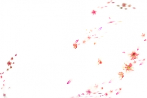 绘画植物花朵飘扬装饰特效