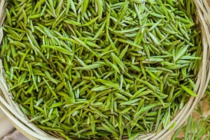 清新茶叶背景