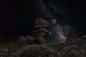 石头 灌木 银河 星星 夜间 4k壁纸 3840x2160
