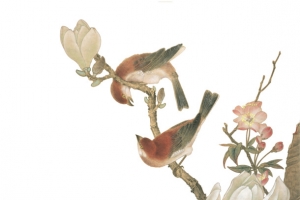 花鸟图