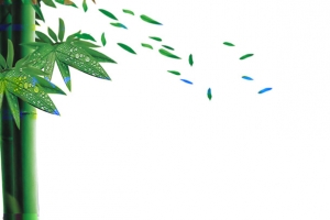 清新飘散竹叶设计