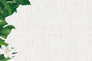 夏天清新淘宝热带植物棉麻质感banner