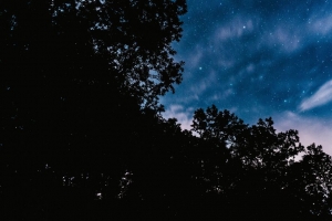 星空 树木 夜晚 星星 云 深色 4k壁纸 3840x2160