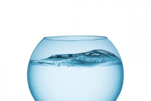鱼缸水面