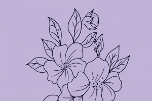 图案设计彩印花边A117