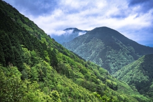 山脉 树木 森林 云 自然 风景 4k壁纸 3840x2160