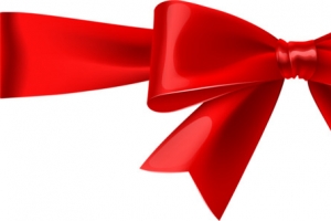 红色蝴蝶结绸带