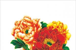 牡丹花