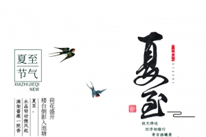 夏至节气海报点缀元素