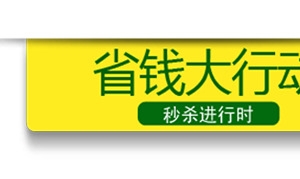 唯美精美省钱大行动标题栏